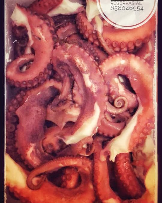 Las maravillas de nuestros mares